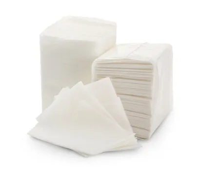 13'' 2ply Napkin
